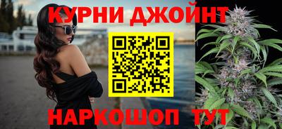 стаф Заводоуковск