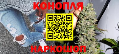 стаф Заводоуковск