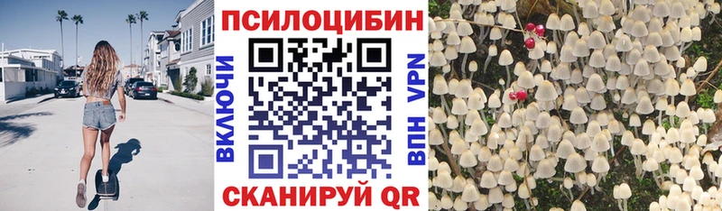Псилоцибиновые грибы GOLDEN TEACHER  закладка  Кулебаки 