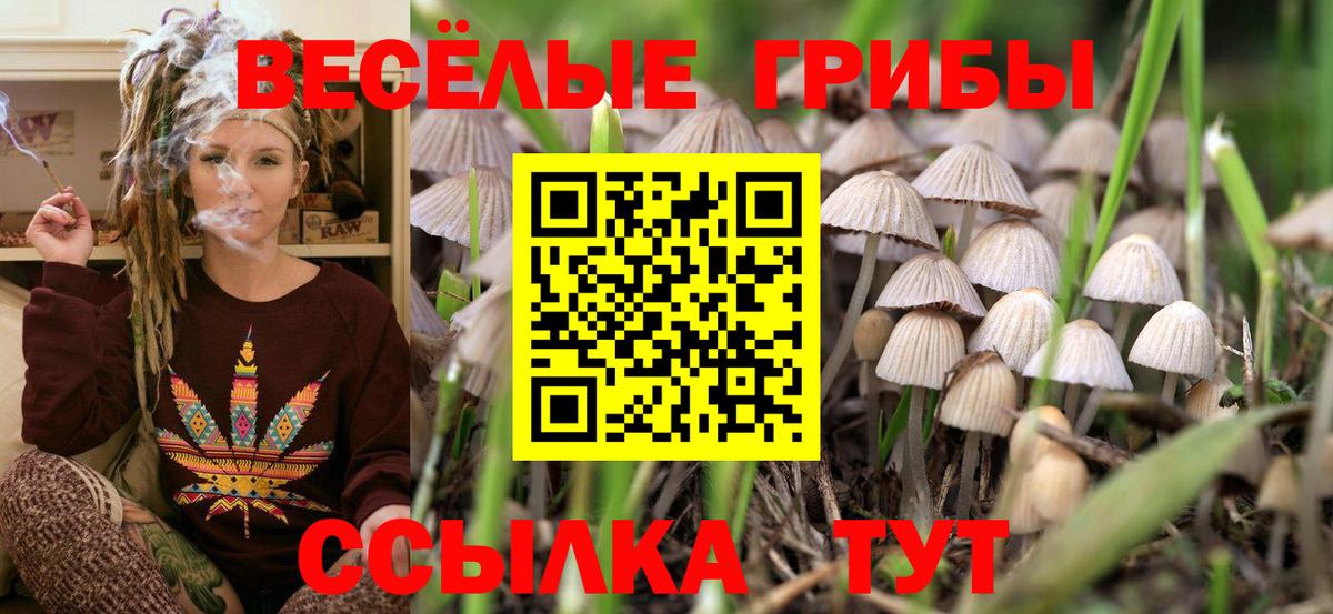 Псилоцибиновые грибы GOLDEN TEACHER Кулебаки