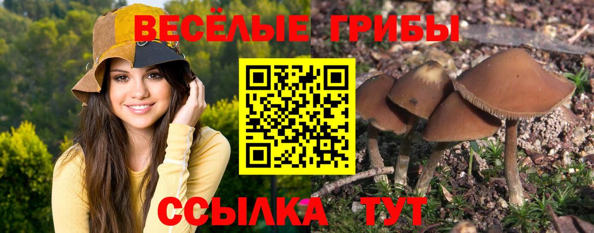 Кулебаки  цена наркотик  Вход с VPN  Псилоцибиновые грибы Magic Shrooms 